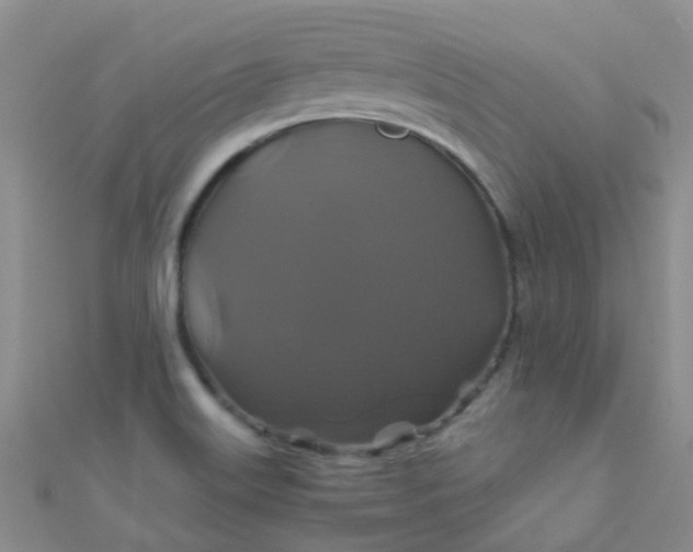 X0000110991515200907022106