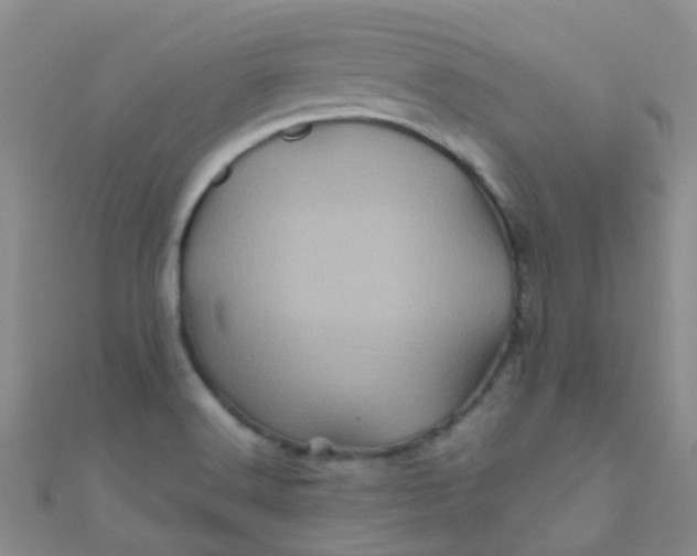 X0000110991516200907022106