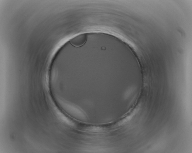X0000110991517200907022106