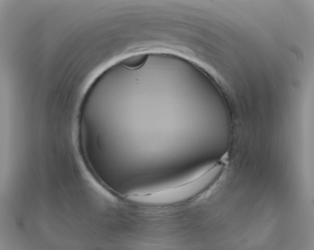 X0000110991518200907022106