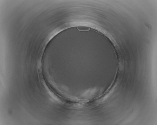 X0000110991521200907022106
