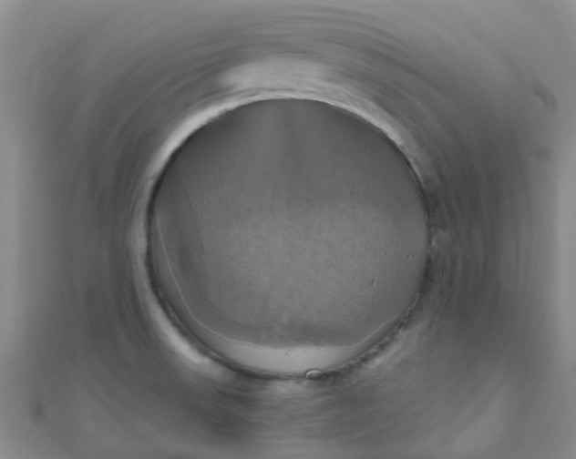 X0000110991523200907022106