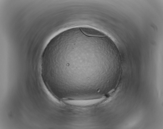 X0000110991526200907022106