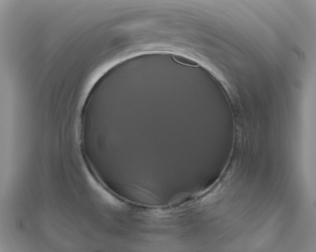 X0000110991527200907022106