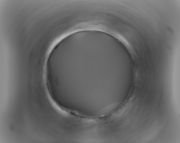 X0000110991528200907022106