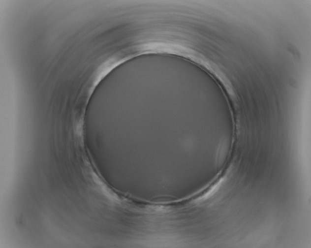 X0000110991529200907022106