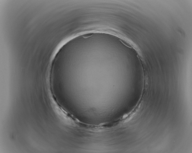 X0000110991530200907022106