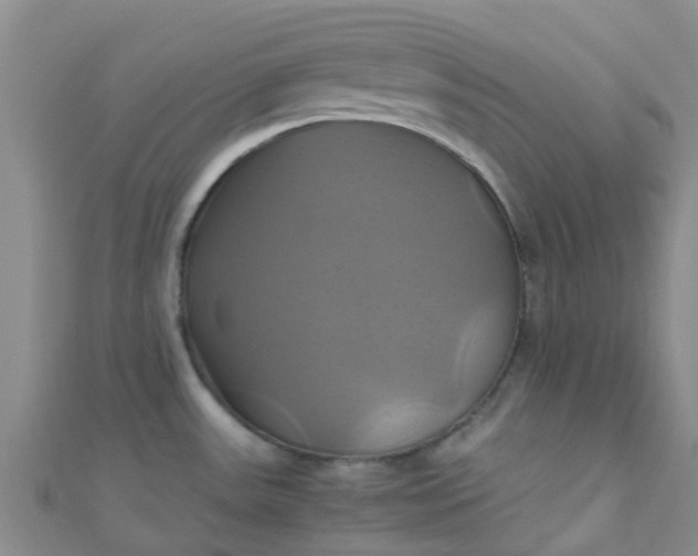 X0000110991531200907022106