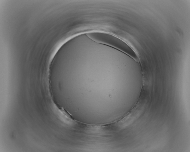 X0000110991532200907022106