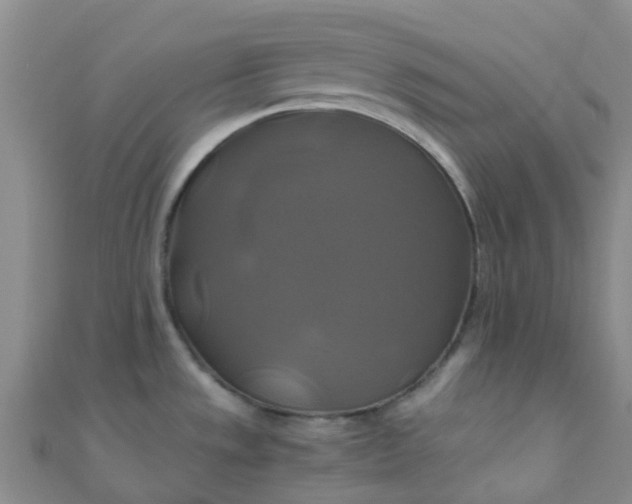 X0000110991533200907022106
