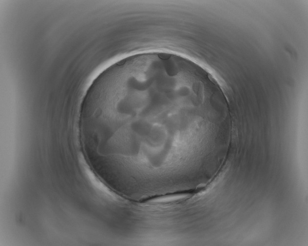 X0000110991534200907022106