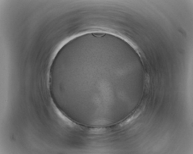 X0000110991535200907022106