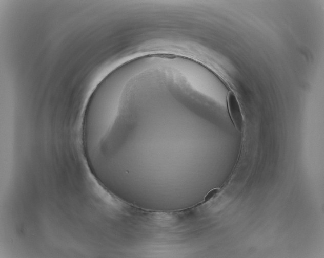 X0000110991536200907022106