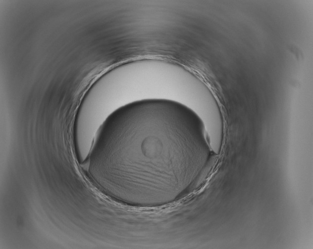 X0000110990001200907101440