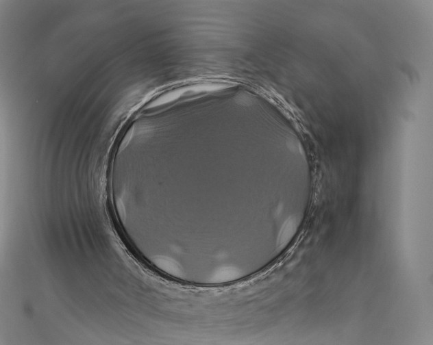 X0000110990002200907101440