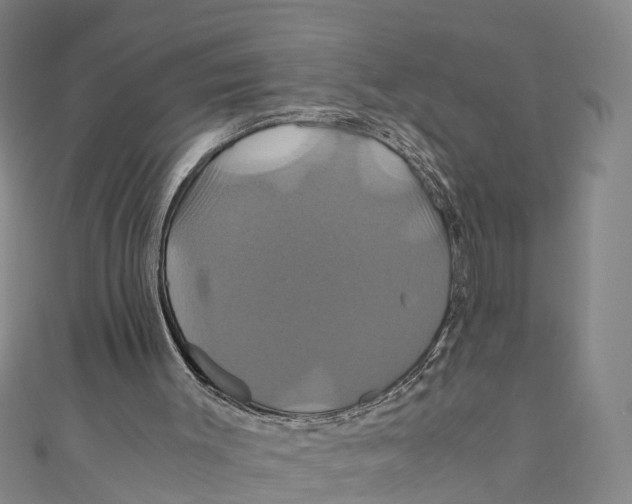 X0000110990003200907101440
