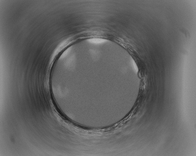 X0000110990004200907101440
