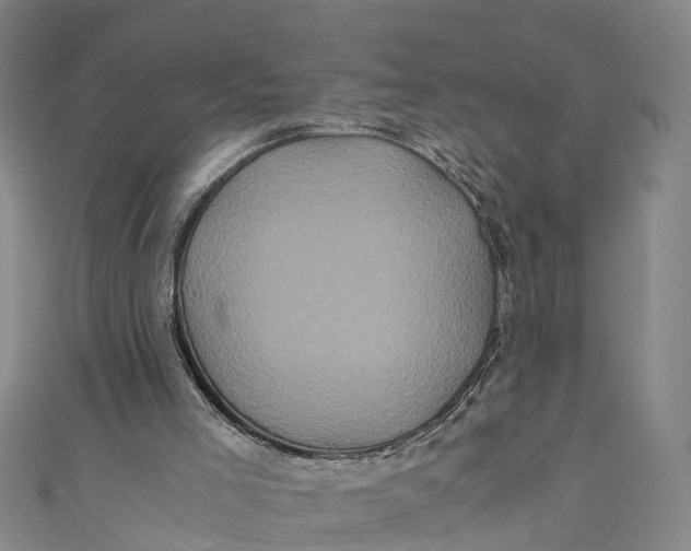 X0000110990005200907101440