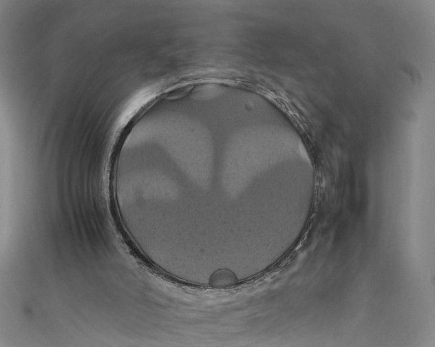 X0000110990006200907101440