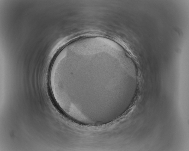 X0000110990007200907101440
