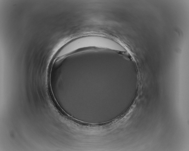 X0000110990008200907101440