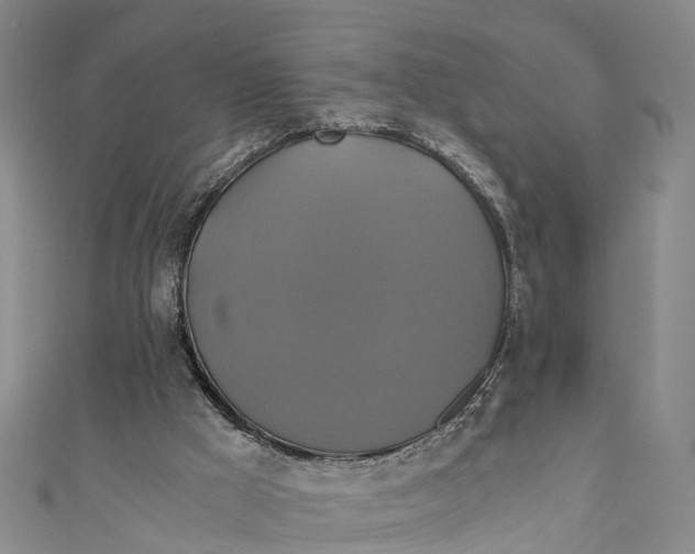 X0000110990009200907101440