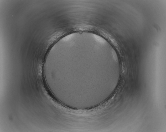 X0000110990010200907101440