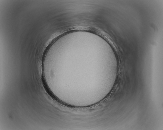 X0000110990011200907101440