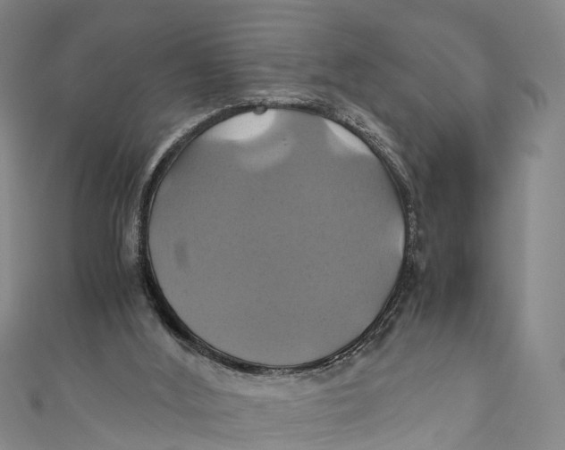 X0000110990012200907101440