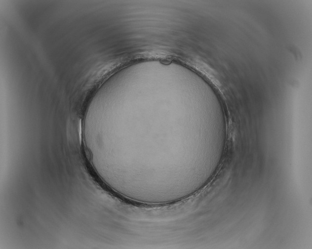 X0000110990013200907101440