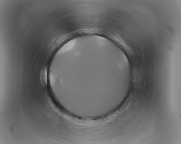 X0000110990014200907101440