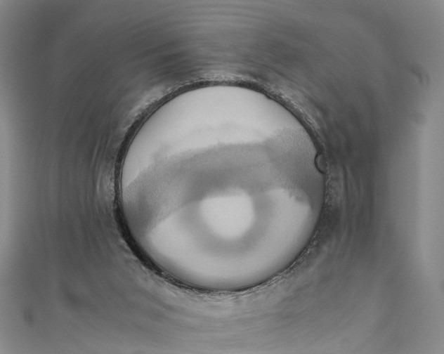 X0000110990015200907101440