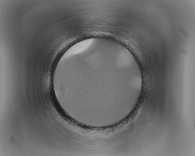 X0000110990016200907101440