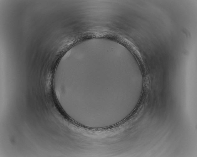 X0000110990018200907101440