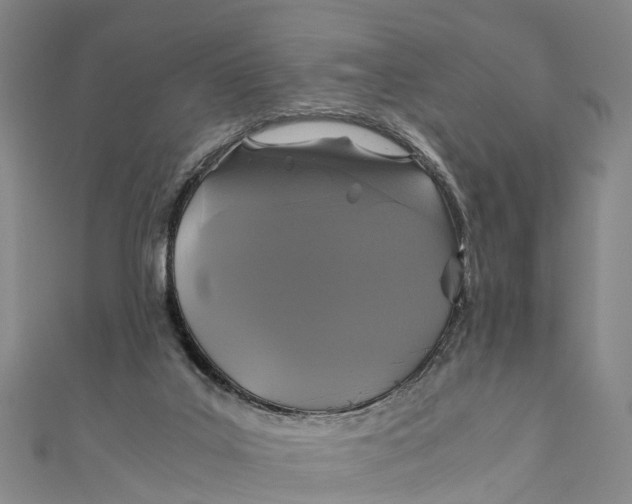 X0000110990019200907101440