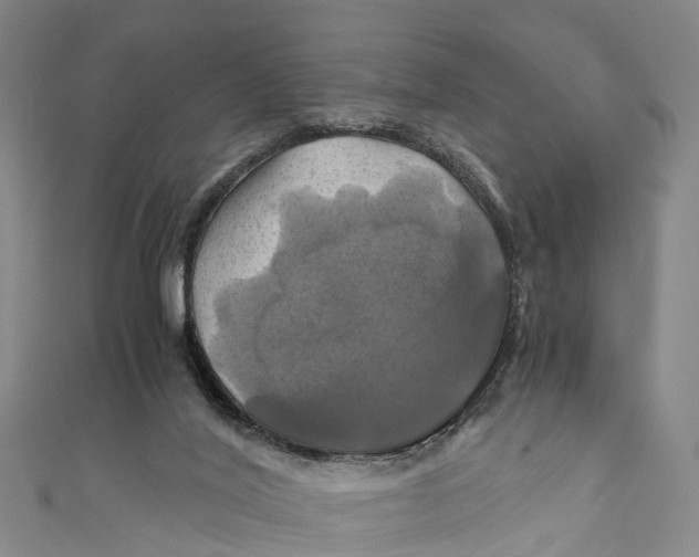 X0000110990020200907101440