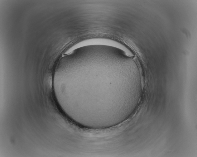 X0000110990021200907101440