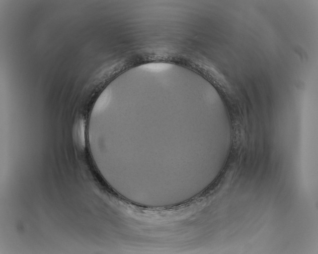 X0000110990022200907101440