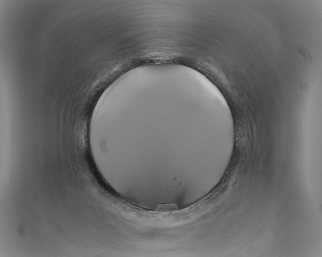 X0000110990023200907101440