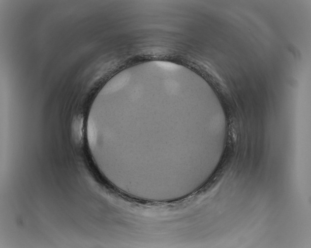 X0000110990024200907101440
