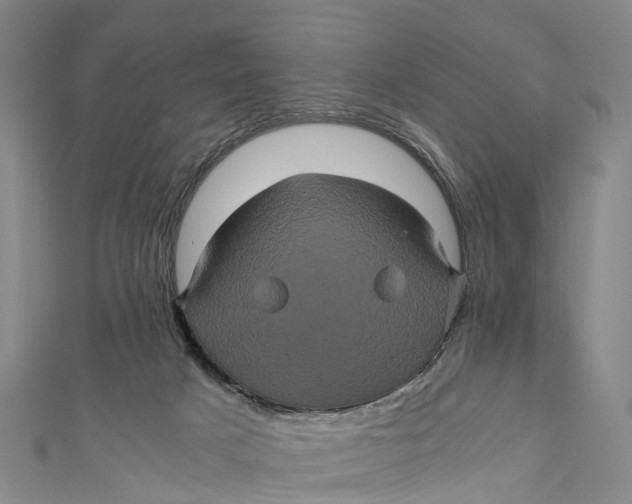 X0000110990025200907101440