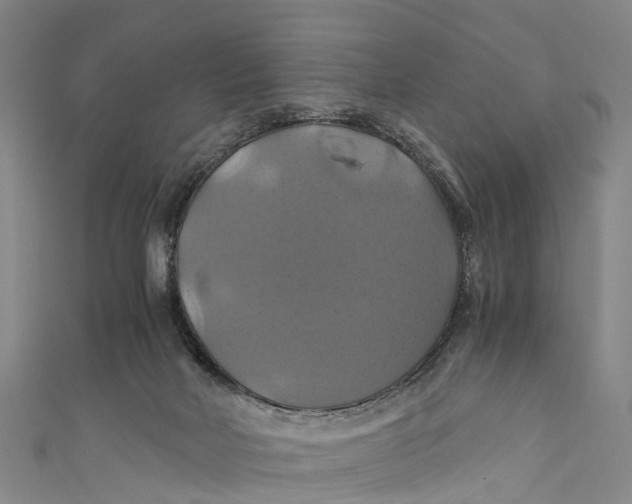 X0000110990026200907101440