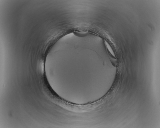 X0000110990027200907101440