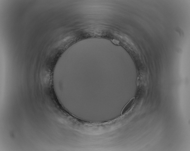 X0000110990029200907101440