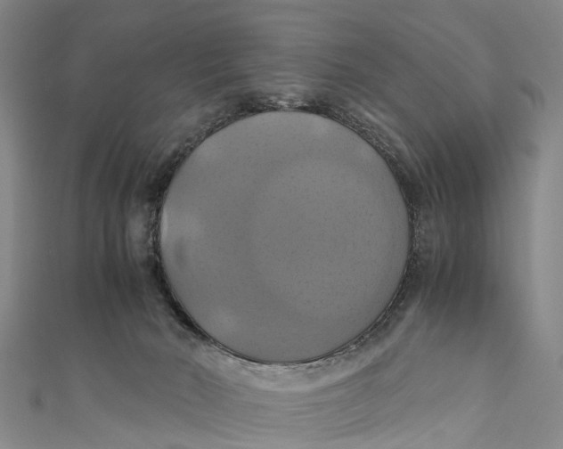 X0000110990030200907101440