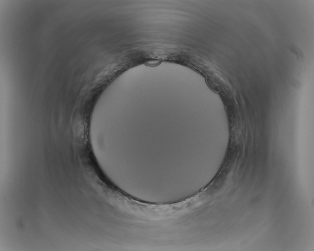 X0000110990031200907101440