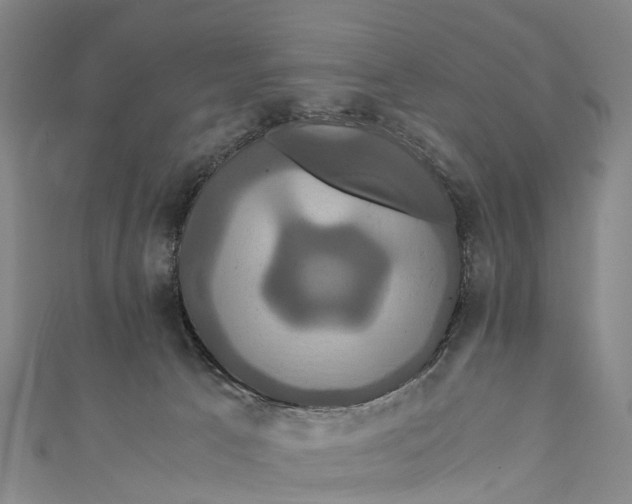 X0000110990033200907101440