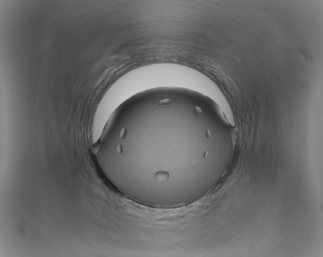 X0000110990035200907101440