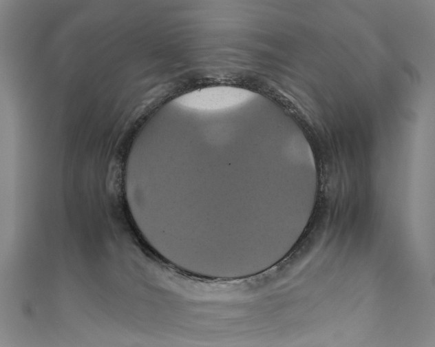 X0000110990036200907101440