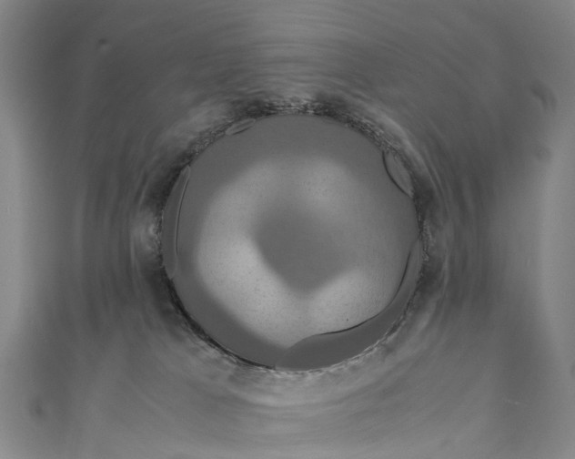 X0000110990037200907101440